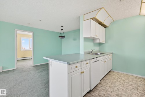 301 10511 42 Avenue, Edmonton, AB - Indoor Photo Showing Kitchen With Double Sink