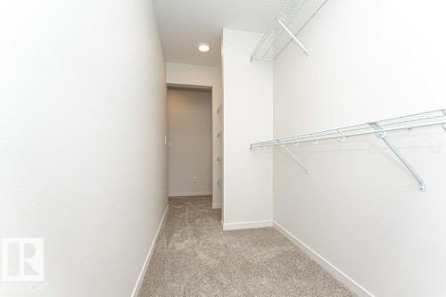 Walk in closet featuring light carpet - 3972 Wren Loop, Edmonton, AB - Indoor With Storage