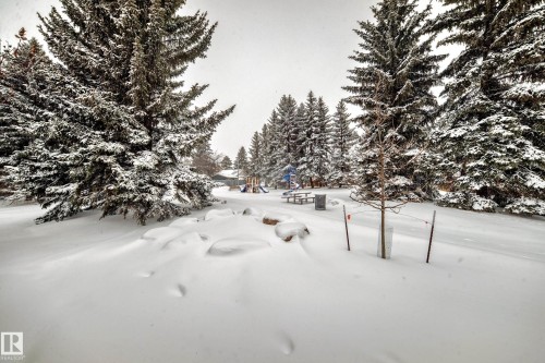 View of yard layered in snow - 5308 20 Avenue, Edmonton, AB - Outdoor With View