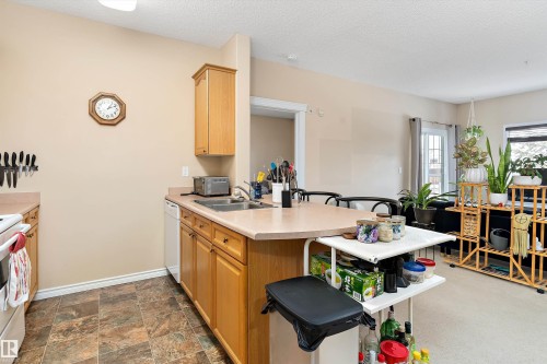 211 16715 100 Avenue, Edmonton, AB - Indoor Photo Showing Kitchen With Double Sink