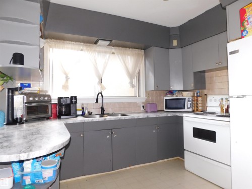 11927 67 Street, Edmonton, AB - Indoor Photo Showing Kitchen With Double Sink