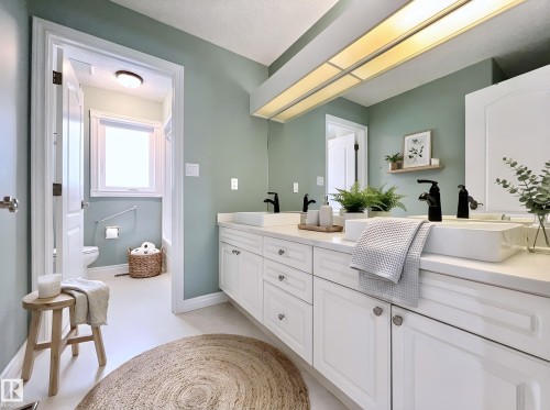 316 Burton Road, Edmonton, AB - Indoor Photo Showing Bathroom