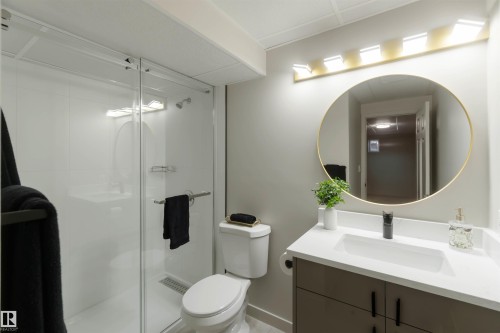 1034 Carter Crest Road, Edmonton, AB - Indoor Photo Showing Bathroom