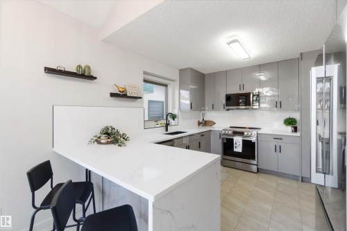 1034 Carter Crest Road, Edmonton, AB - Indoor Photo Showing Kitchen With Stainless Steel Kitchen With Upgraded Kitchen