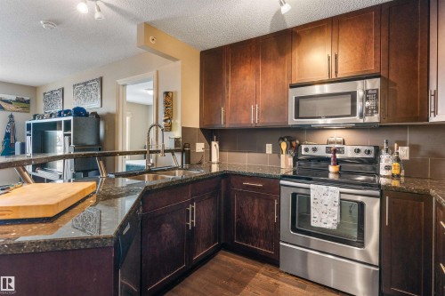 403 2204 44 Avenue, Edmonton, AB - Indoor Photo Showing Kitchen With Double Sink
