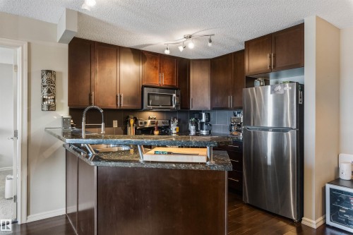 403 2204 44 Avenue, Edmonton, AB - Indoor Photo Showing Kitchen With Double Sink