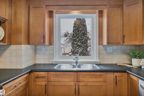 13320 109A Avenue, Edmonton, AB - Indoor Photo Showing Kitchen With Double Sink