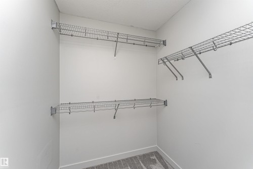 Walk in closet with carpet floors - 6963 19A Avenue, Edmonton, AB - Indoor With Storage