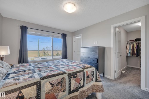 Bedroom with a spacious closet, light carpet, and a textured ceiling - 157 Larch Crescent, Leduc, AB - Indoor Photo Showing Bedroom