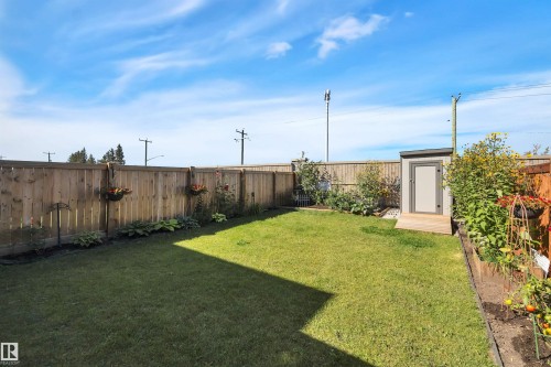 Fenced backyard with an outdoor structure - 157 Larch Crescent, Leduc, AB - Outdoor