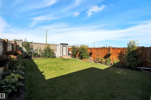 Fenced backyard with a storage shed - 157 Larch Crescent, Leduc, AB - Outdoor