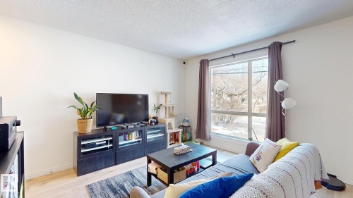 9515B 120 Avenue, Edmonton, AB - Indoor Photo Showing Living Room
