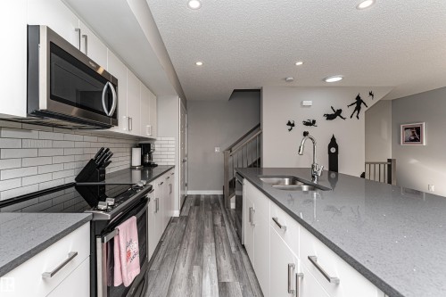 20318 15A Avenue, Edmonton, AB - Indoor Photo Showing Kitchen With Double Sink