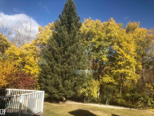 View of green lawn - 121 Weaver Drive, Edmonton, AB - Outdoor With View