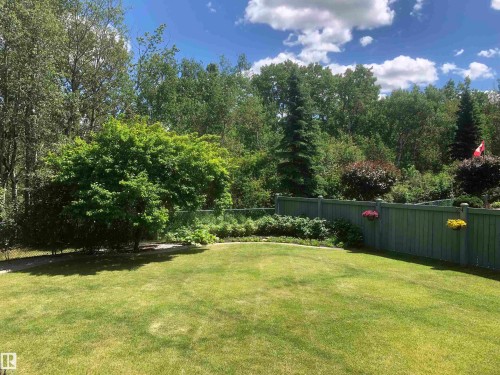 View of fenced backyard - 121 Weaver Drive, Edmonton, AB - Outdoor
