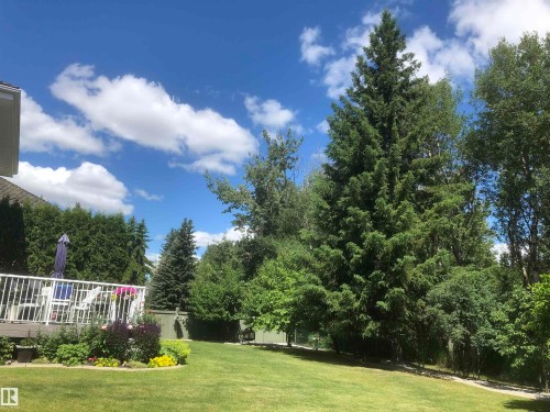View of grassy yard featuring view of scattered trees - 121 Weaver Drive, Edmonton, AB - Outdoor