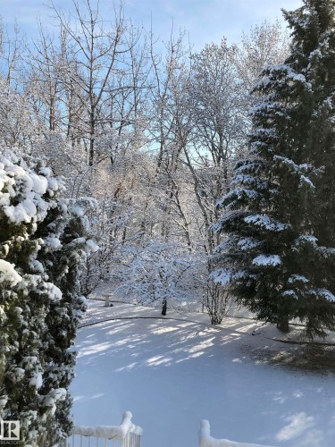 View of yard layered in snow - 121 Weaver Drive, Edmonton, AB - Outdoor With View