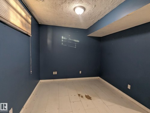 11725 83 Street, Edmonton, AB - Indoor Photo Showing Other Room