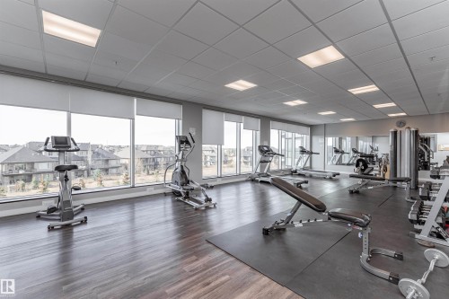 Exercise room featuring a paneled ceiling - 332 5151 Windermere Boulevard, Edmonton, AB - Indoor Photo Showing Gym Room