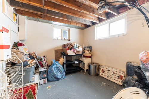 12202 49 Street, Edmonton, AB - Indoor Photo Showing Basement
