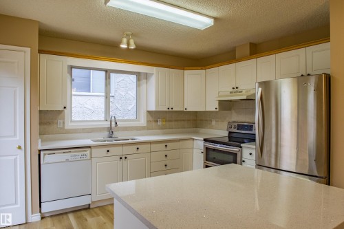 3835 47 Street, Edmonton, AB - Indoor Photo Showing Kitchen With Double Sink