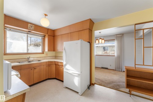 6915 87 Avenue, Edmonton, AB - Indoor Photo Showing Kitchen With Double Sink