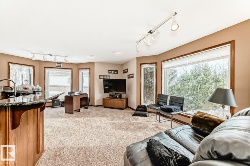Living room featuring track lighting and light colored carpet - 777 Butterworth Drive, Edmonton, AB - Indoor Photo Showing Living Room