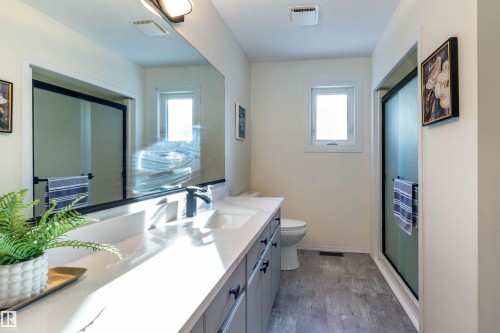 232 Gariepy Crescent, Edmonton, AB - Indoor Photo Showing Bathroom