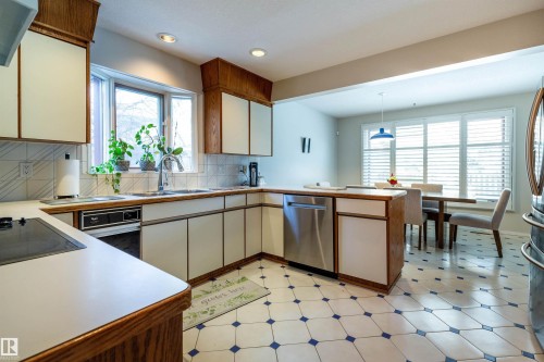 232 Gariepy Crescent, Edmonton, AB - Indoor Photo Showing Kitchen With Double Sink