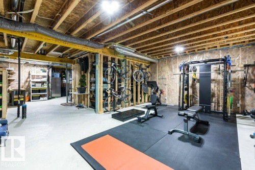 19 Riviere Terrace, St. Albert, AB - Indoor Photo Showing Gym Room