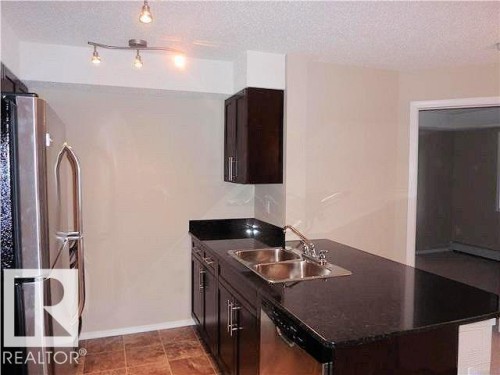 205 11816 22 Avenue, Edmonton, AB - Indoor Photo Showing Kitchen With Double Sink