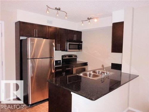205 11816 22 Avenue, Edmonton, AB - Indoor Photo Showing Kitchen With Stainless Steel Kitchen With Double Sink