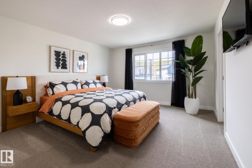 803 157 Avenue, Edmonton, AB - Indoor Photo Showing Bedroom