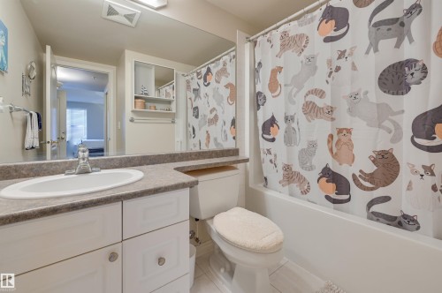 306 10909 103 Avenue, Edmonton, AB - Indoor Photo Showing Bathroom