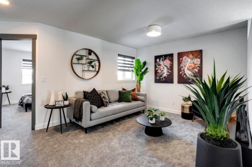 959 18 Avenue, Edmonton, AB - Indoor Photo Showing Living Room