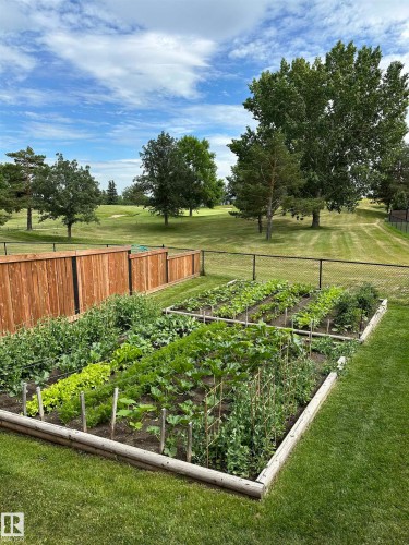 View of yard featuring a vegetable garden - 11 Promenade Point(E), Beaumont, AB - Outdoor With View