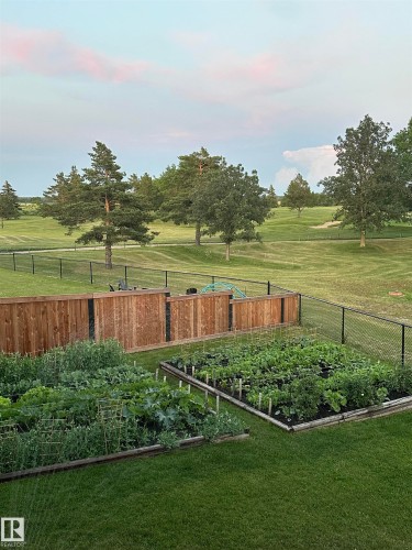 View of yard with a garden - 11 Promenade Point(E), Beaumont, AB - Outdoor With View