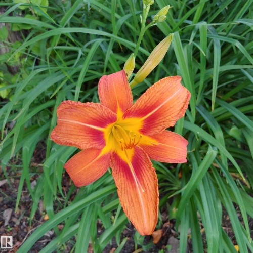 10714 128 Street, Edmonton, AB - Outdoor