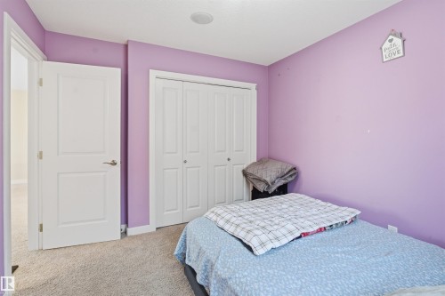 Carpeted bedroom with a closet and baseboards - 2923 16 Street, Edmonton, AB - Indoor Photo Showing Bedroom