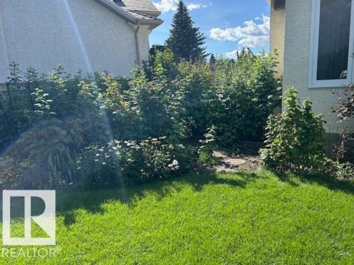 View of green lawn - 313 Hedley Way, Edmonton, AB - Outdoor