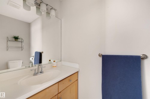 8818 Rowland Road, Edmonton, AB - Indoor Photo Showing Bathroom