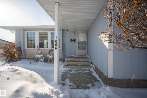 1004 61 Street, Edmonton, AB - Outdoor