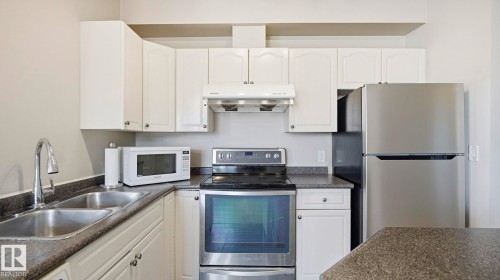 101 10346 117 Street, Edmonton, AB - Indoor Photo Showing Kitchen With Double Sink