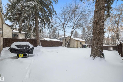 Snowy yard featuring an outdoor structure - 11242 72 Avenue, Edmonton, AB - Outdoor