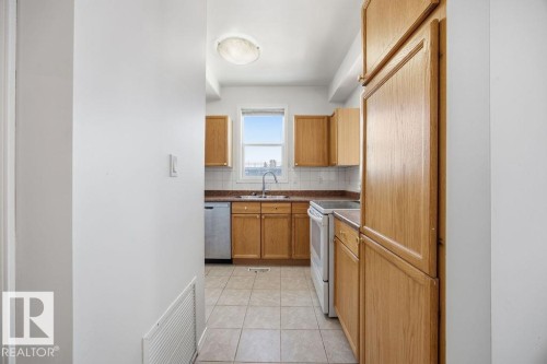 202 8108 109 Street, Edmonton, AB - Indoor Photo Showing Kitchen With Double Sink