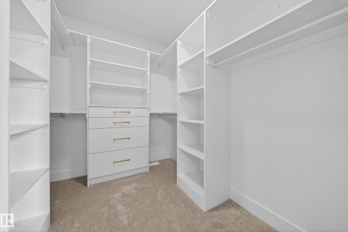 Walk in closet featuring light carpet - 9907 68 Street, Edmonton, AB - Indoor With Storage
