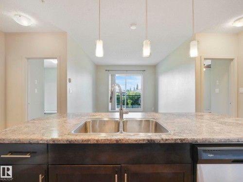 317 1144 Adamson Drive, Edmonton, AB - Indoor Photo Showing Kitchen With Double Sink