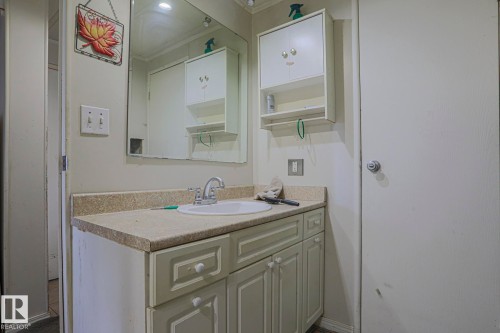 Bathroom featuring vanity and crown molding - 19 Ridgeway Drive Nw, Edmonton, AB - Indoor Photo Showing Bathroom