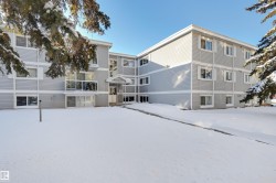 310 8215 83 Avenue  Edmonton, AB T6C 1A7