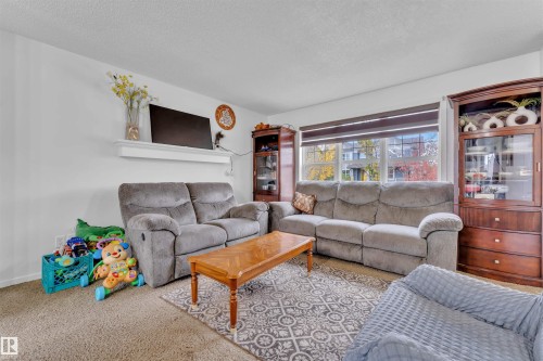 2004 32 Street, Edmonton, AB - Indoor Photo Showing Living Room